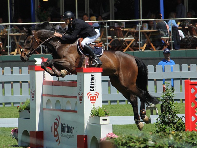 从技战术角 从技战术角