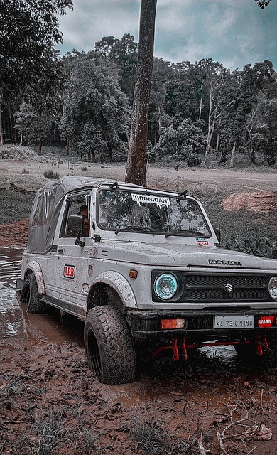 我们也可以 我们也可以