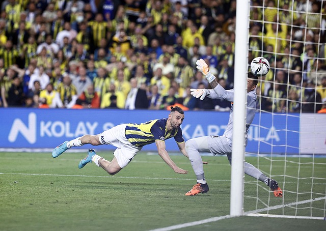 质的飞跃 质的飞跃