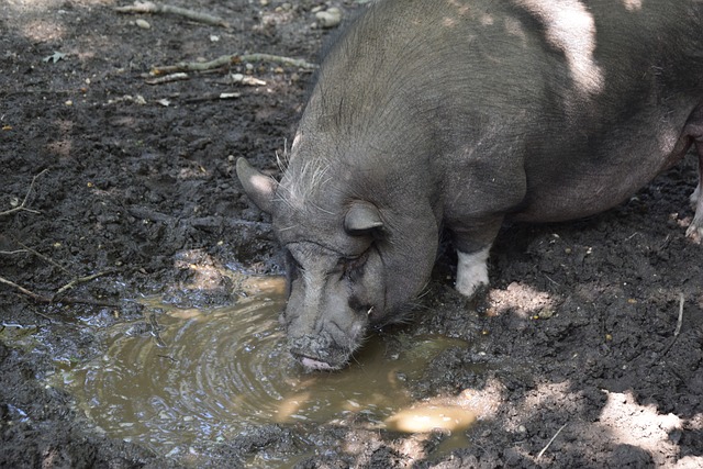 向了更加 向了更加