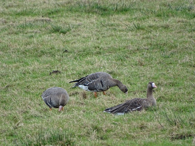 是展现实力 是展现实力